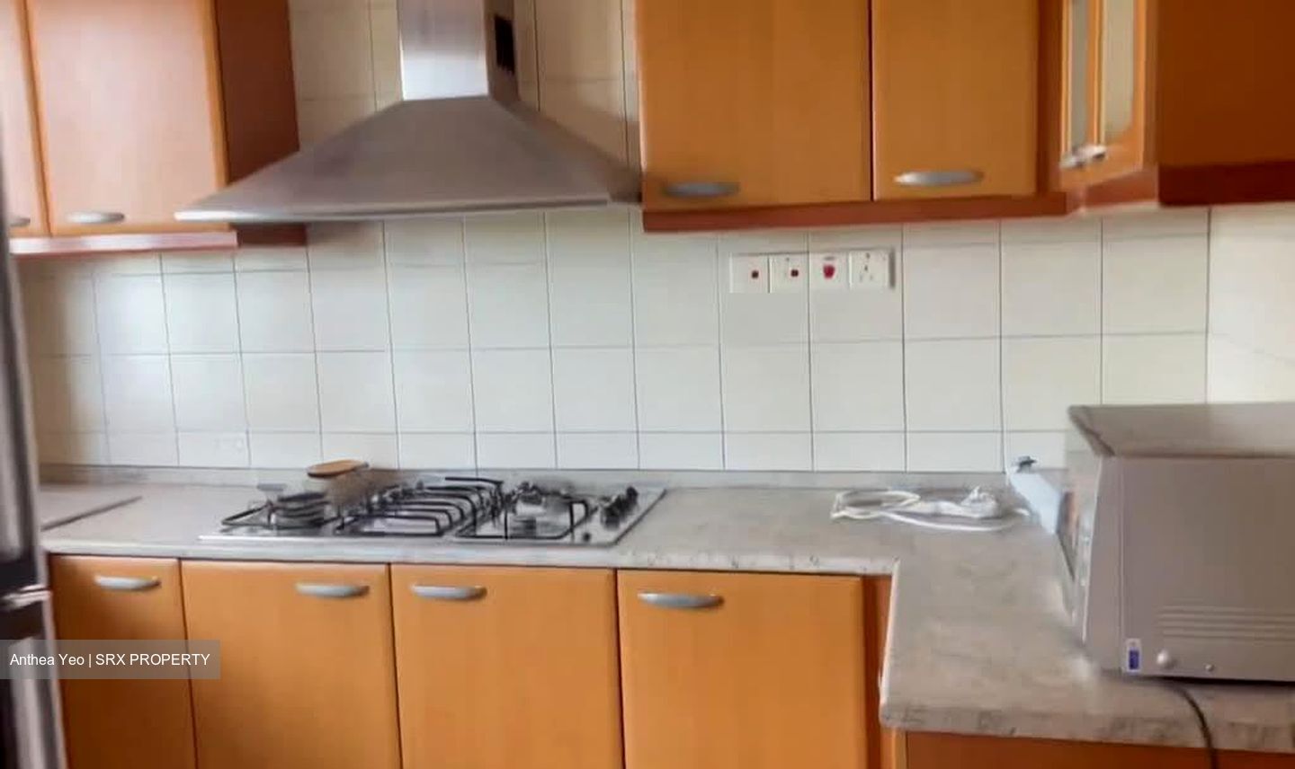Carissa Park Condominium (D17), Condominium #553898941